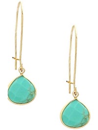 Teardrop Natural Stone Long Drop Earring, Turquoise